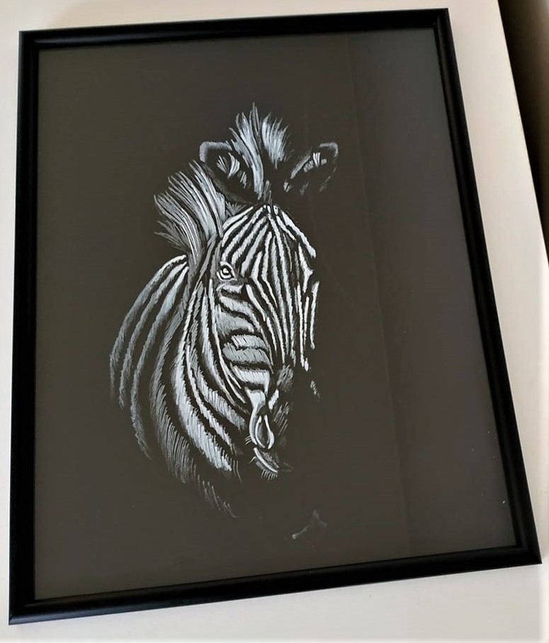 zebra