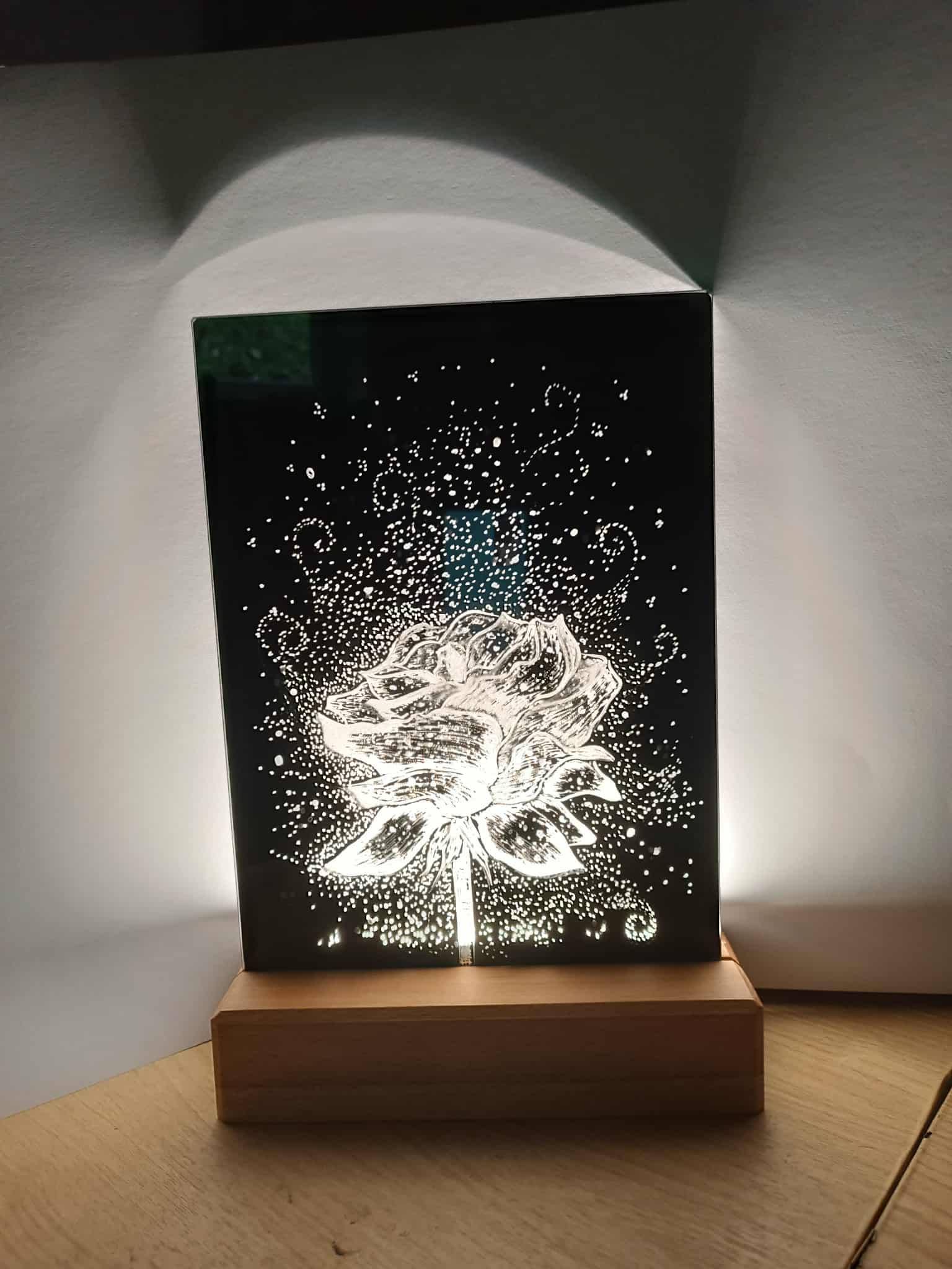 Růže v ranní rose.jfif